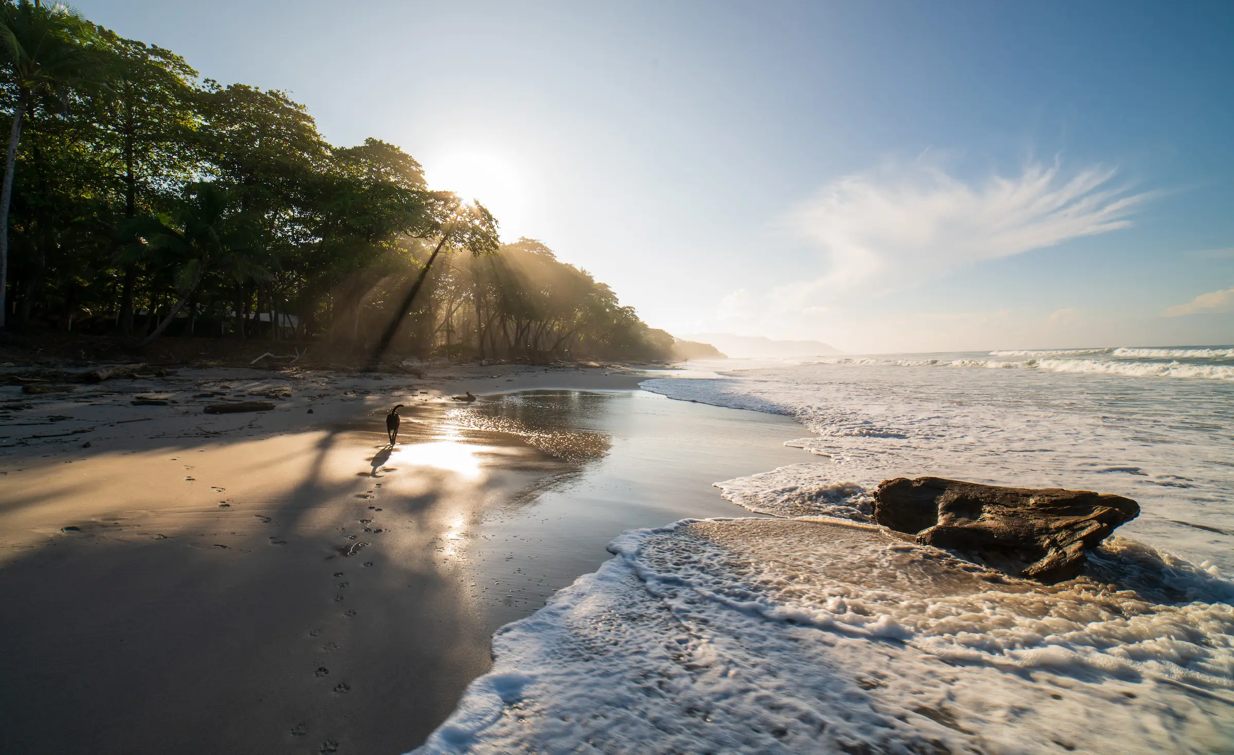 Costa Rica is a Down-low Hotspot for Gay Tourism