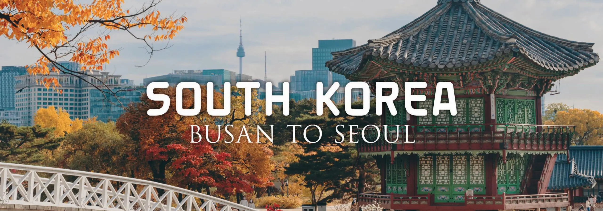 South Korea gay tour header image