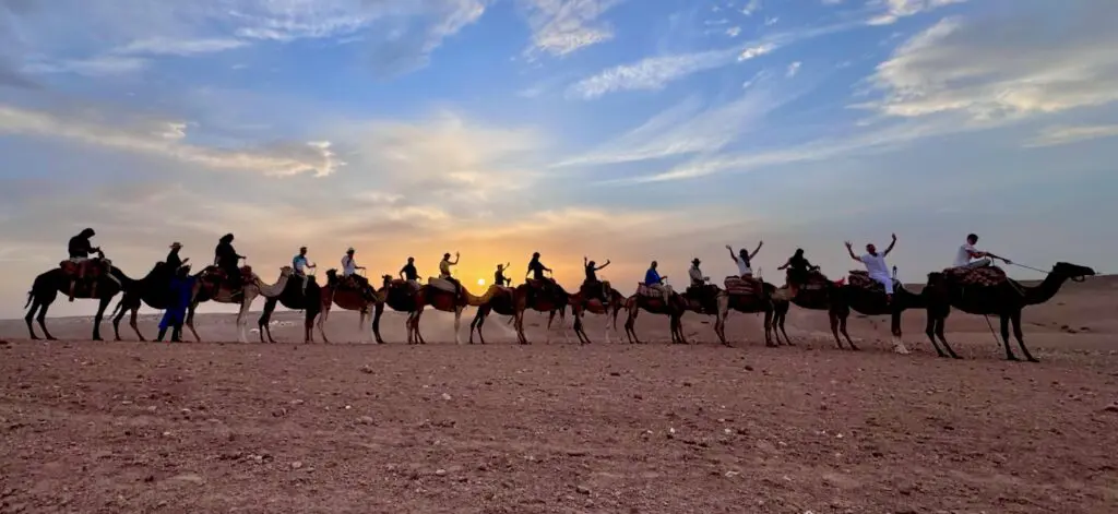 An LGBTQ travel group on a sunset camel ride in the desert