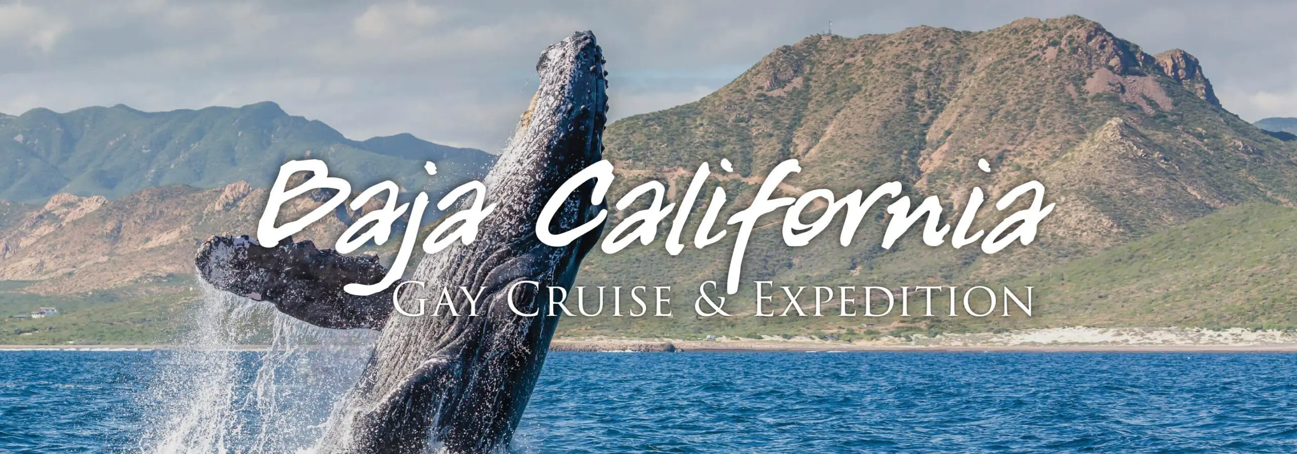 Baja California gay cruise slider graphic