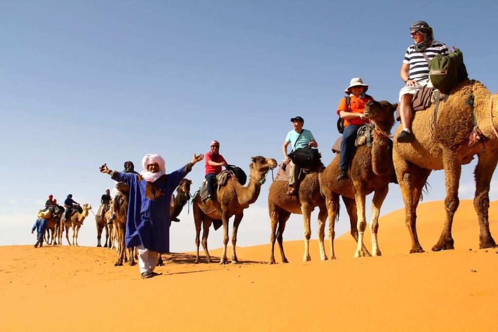 Morocco; Gay Travel; Out Adventures; Camels; Humps; Desert; Sahara; Berber