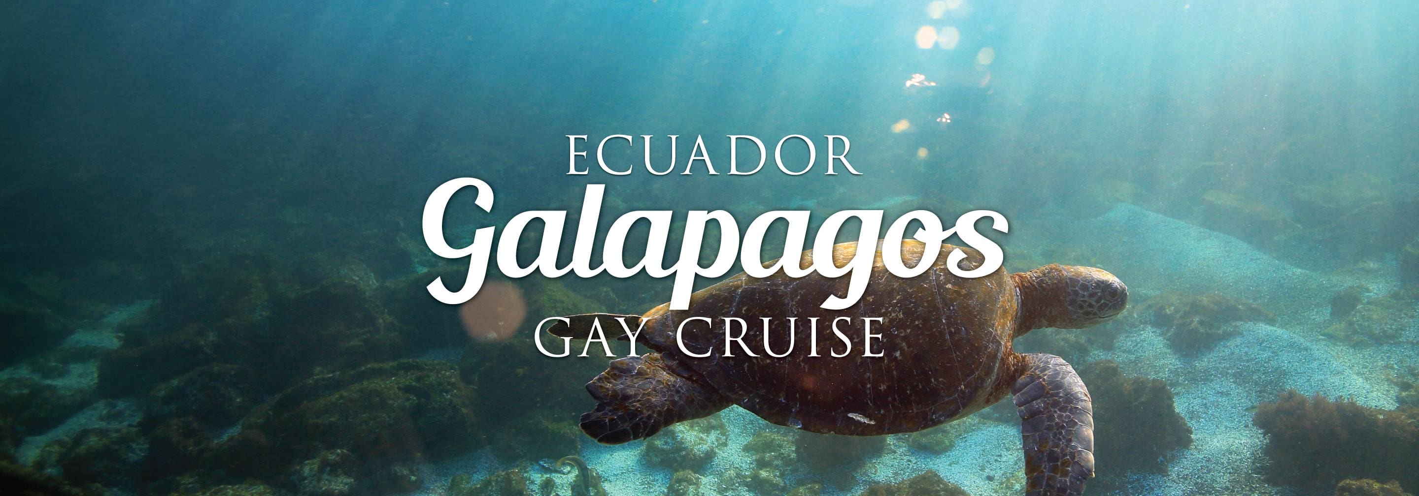 Out Adventures Galapagos Gay Cruise
