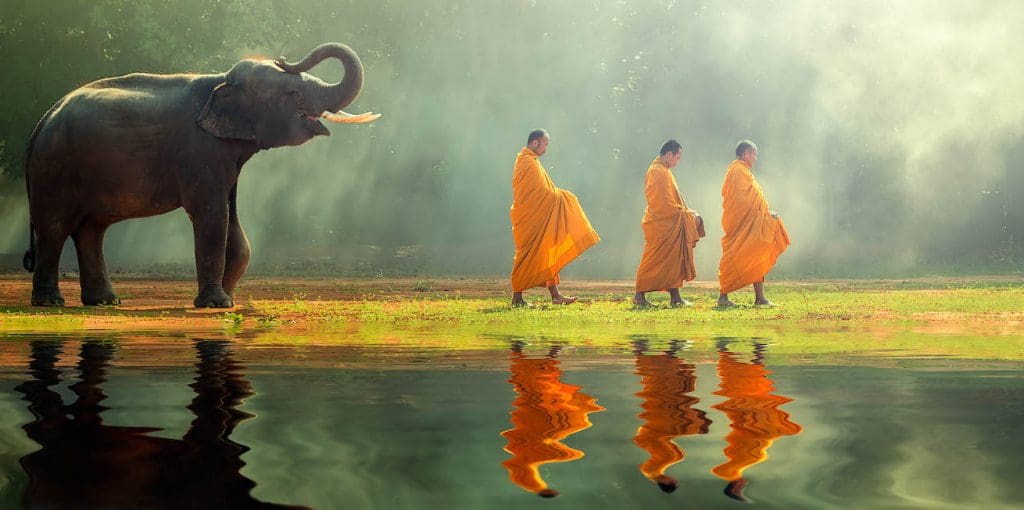 An Asian elephant walks behind three Buddhist monks beside a pool of water in Thailand.
