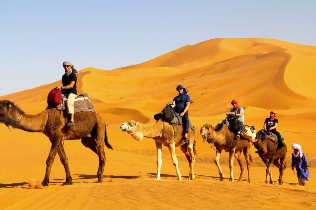 A line of camels tied together with travel tops riding them.